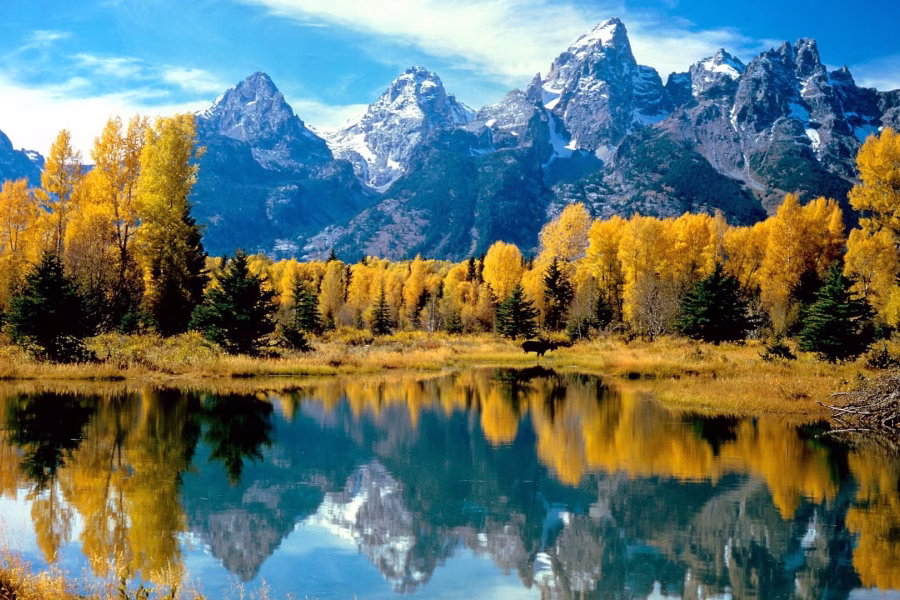 wp-content/uploads/2025/05/1080p-Nature-HD-Wallpaper.avif
